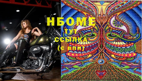 кокс Алексин