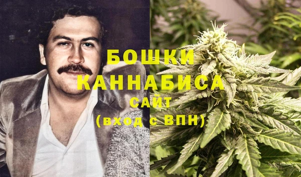ешки Алзамай