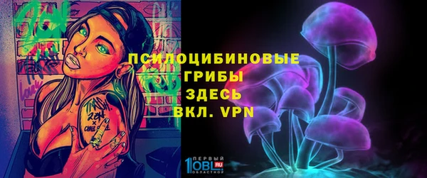 трава Абаза