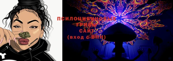 трава Абаза