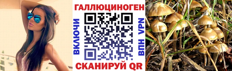 Галлюциногенные грибы Cubensis  Тюмень 